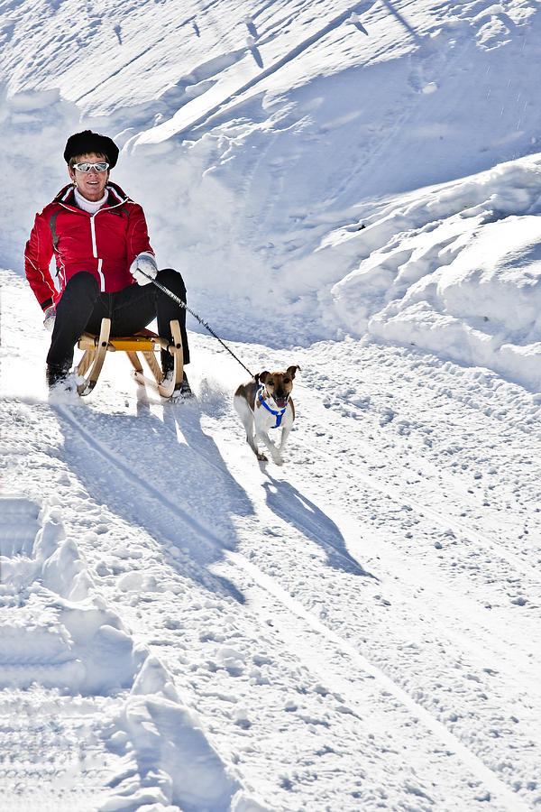 Dog Sled Photograph by Sonny Marcyan