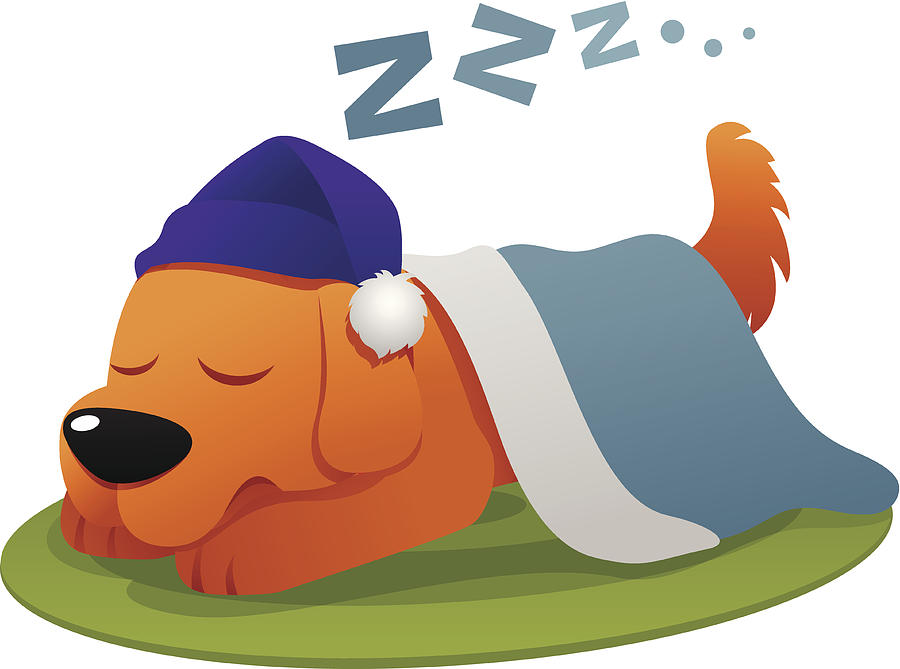 Dog sleep Drawing by Excape25