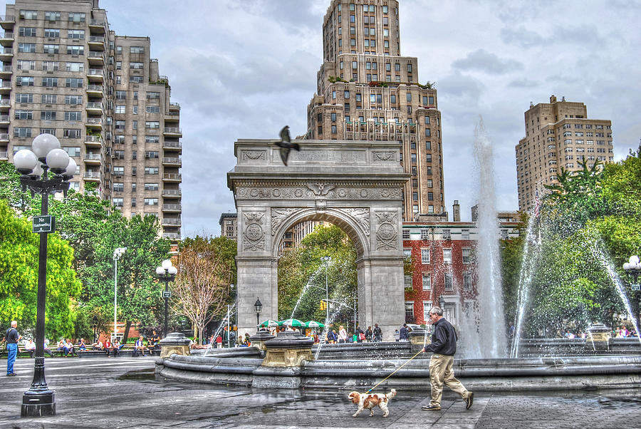 The Village Photograph - Dog Walking at Washington Square Park by Randy Aveille