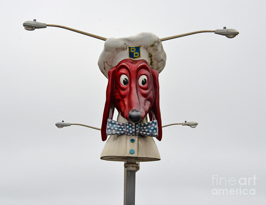 Doggie Diner Head Photograph by Jim Fitzpatrick