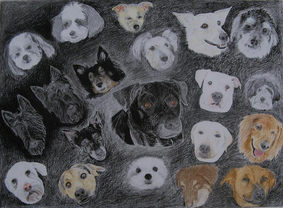 Dog Drawing - Doggie Hood by Stephen W Keller