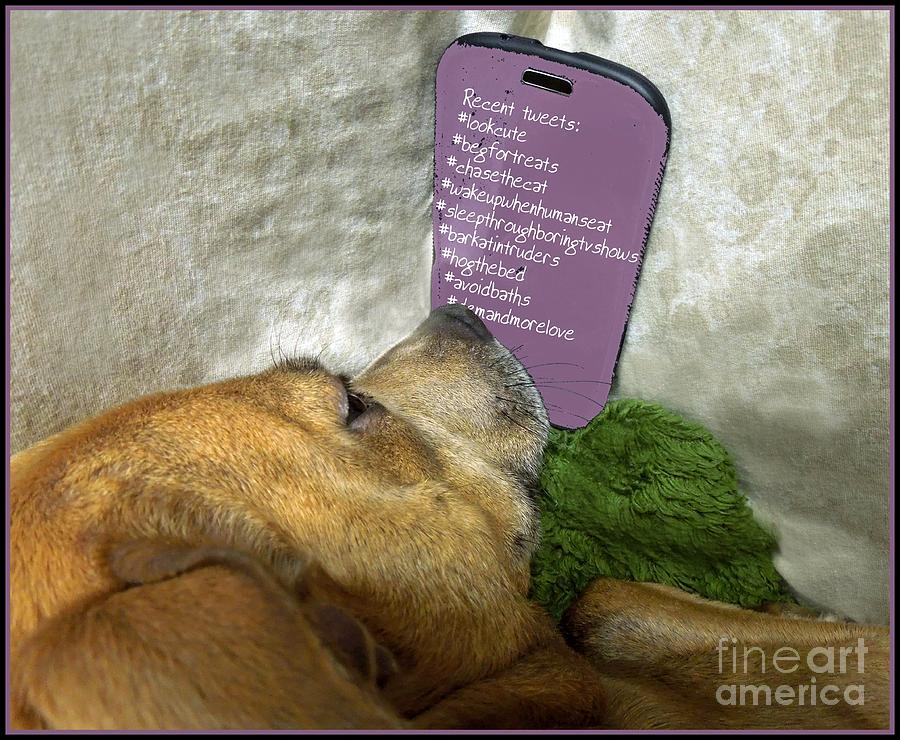 Dog Photograph - Doggy Hashtags by Renee Trenholm
