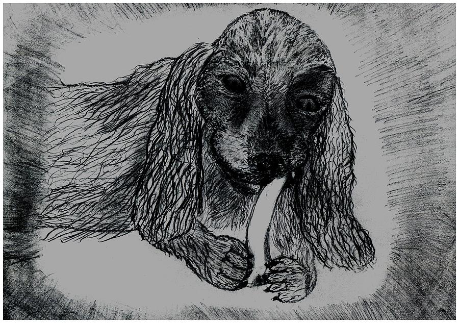 Dog Drawing - Doggy Treat by Shaunna Juuti