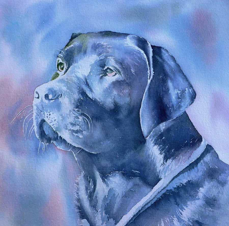 Dog Painting - Dogs eyes 4 by Thomas Habermann