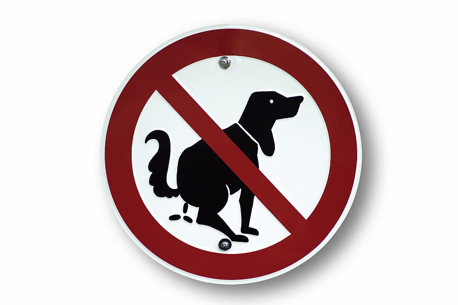 Dogs forbidden sign, close-up Photograph by Creativ Studio Heinemann