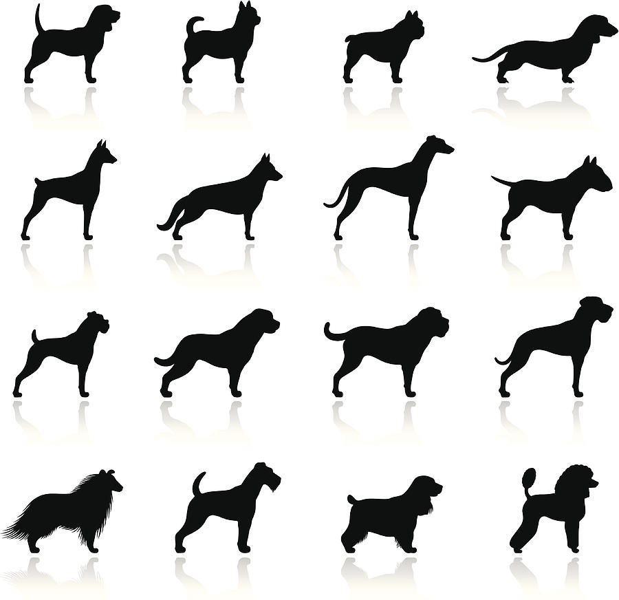 Dogs Icon Set Drawing by AlonzoDesign