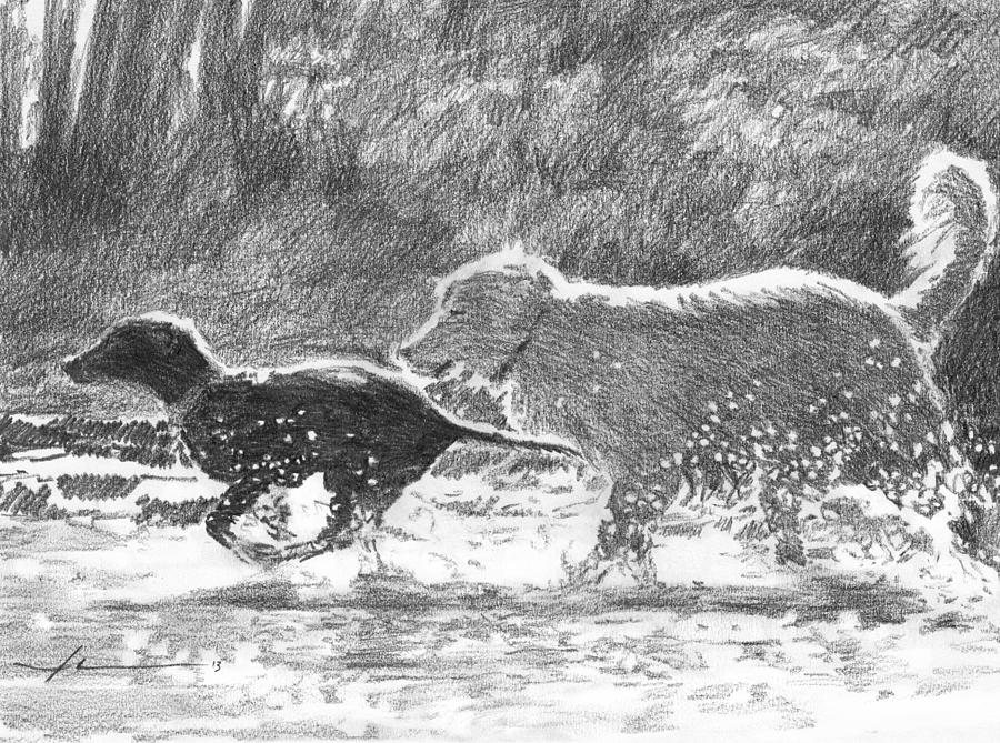 Dogs In A Stream Pencil Portrait Drawing by Mike Theuer Dogs In A Stream Pencil Portrait Drawing by Mike Theuer