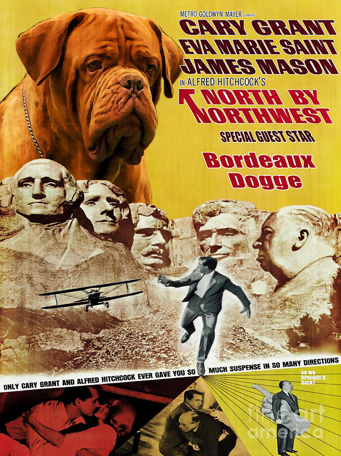 Dogue de Bordeaux Art Canvas Print - North By Northwest Movie Poster Painting by Sandra Sij
