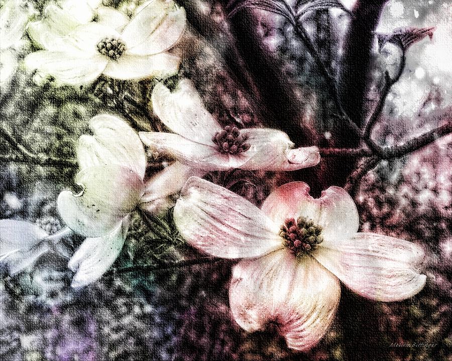 Dogwood Blooms Surreal Photograph by Melissa Bittinger