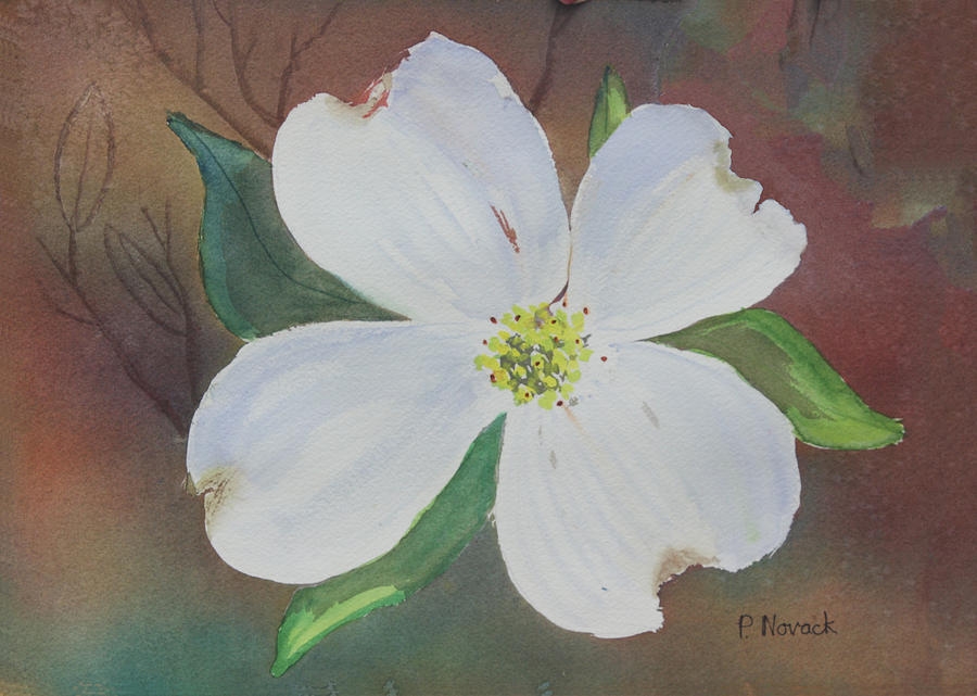 Dogwood Blossom Painting by Patricia Novack