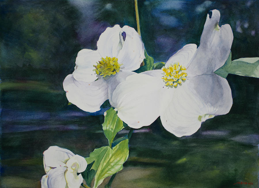 Dogwood Blossoms Painting by Christopher Reid