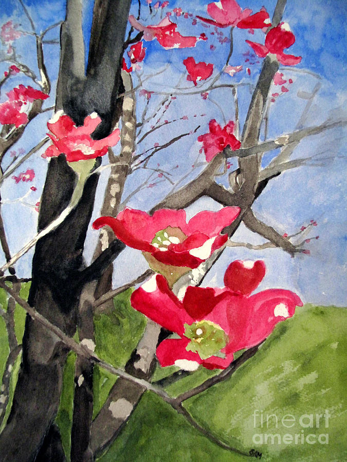 Dogwood Flowers Painting by Sandy McIntire