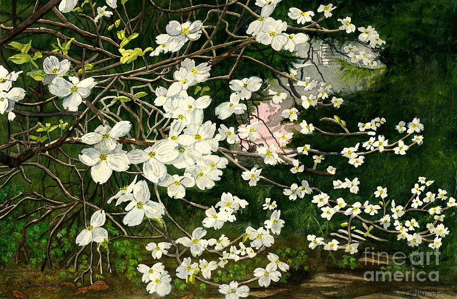 Dogwoods Virginia Painting by Melly Terpening