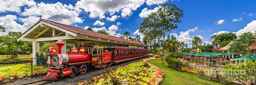 Dole Plantation Train 3 to 1 Aspect Ratio Photograph by Aloha Art