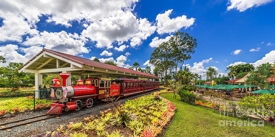 Dole Plantation Train 2 to 1 Aspect Ratio Photograph by Aloha Art