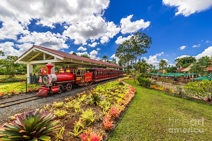 Dole Plantation Train Photograph by Aloha Art
