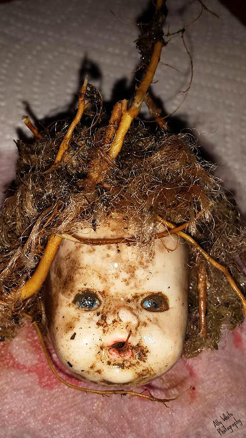 Doll Head Photograph