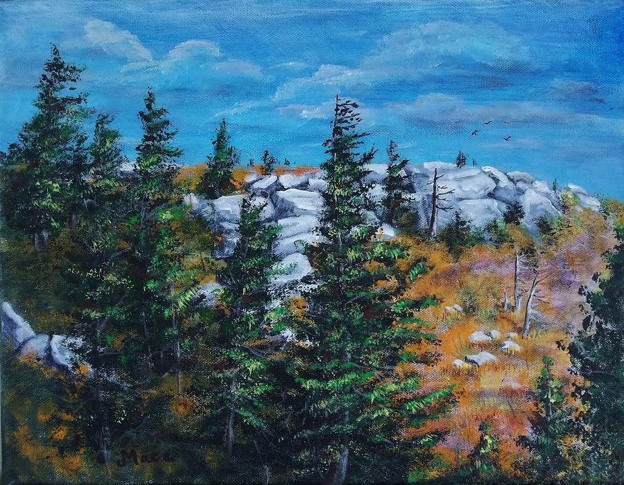 Dolly Sods in Fall Painting by Joan Mace - Fine Art America