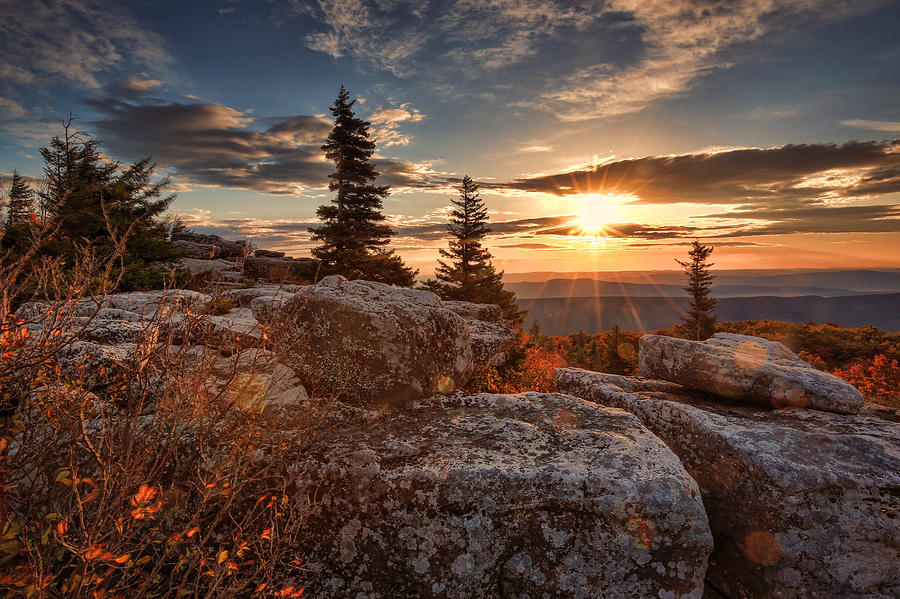 Dolly Sods morning Photograph by Jaki Miller