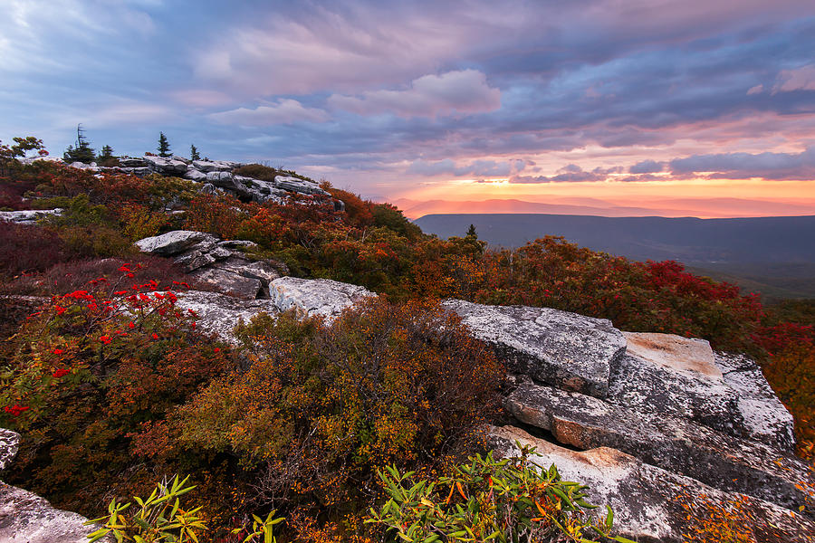Fall Photograph - Dolly Sods October Sunrise by Joseph Rossbach