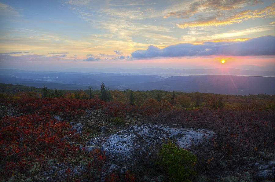 Dolly Sods Sunrise Photograph by Michael Donahue