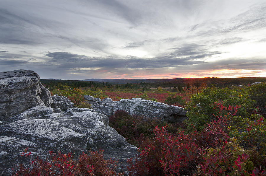 Dolly Sods Sunset Photograph by Michael Donahue