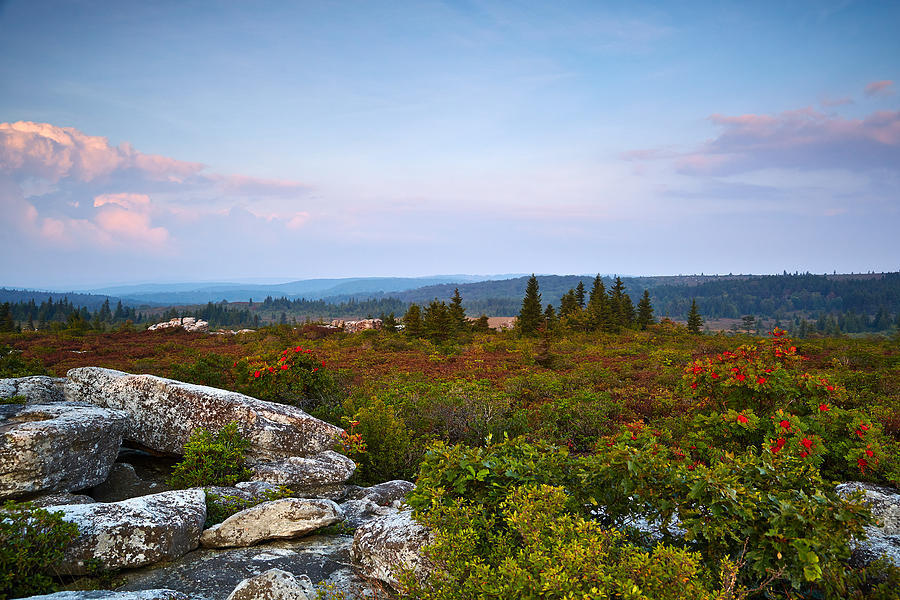 Dolly Sods Widerness Photograph by Brian Simpson