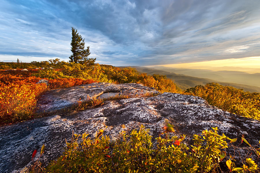 Dolly Sods Wilderness Photograph by Bernard Chen