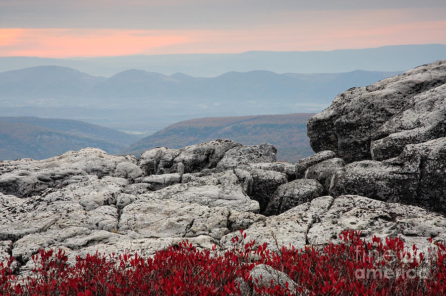 Fall Photograph - Dolly Sods Wilderness D30007778 by Kevin Funk