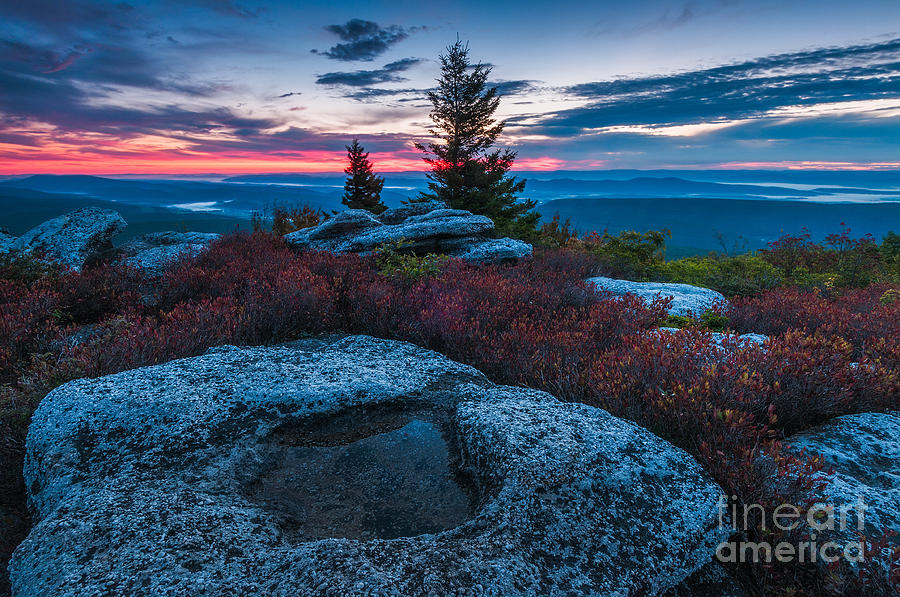 Dolly Sods Wilderness D30019392 Photograph by Kevin Funk