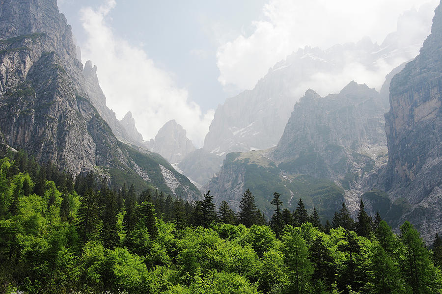 Dolomite Mountain Range And Trees Photograph by Stuart Paton
