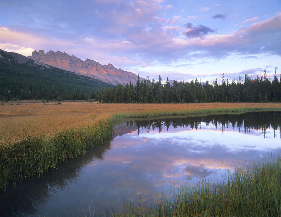 Dolomite Peak And Bow River Backwaters Photograph by Tim Fitzharris