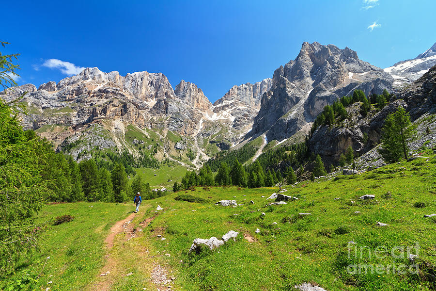 Dolomiti - Contrin Valley Photograph by Antonio Scarpi