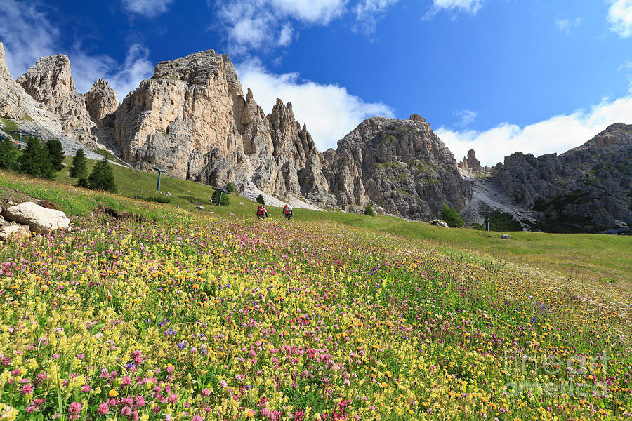 Dolomiti - hike in Gardena pass Photograph by Antonio Scarpi
