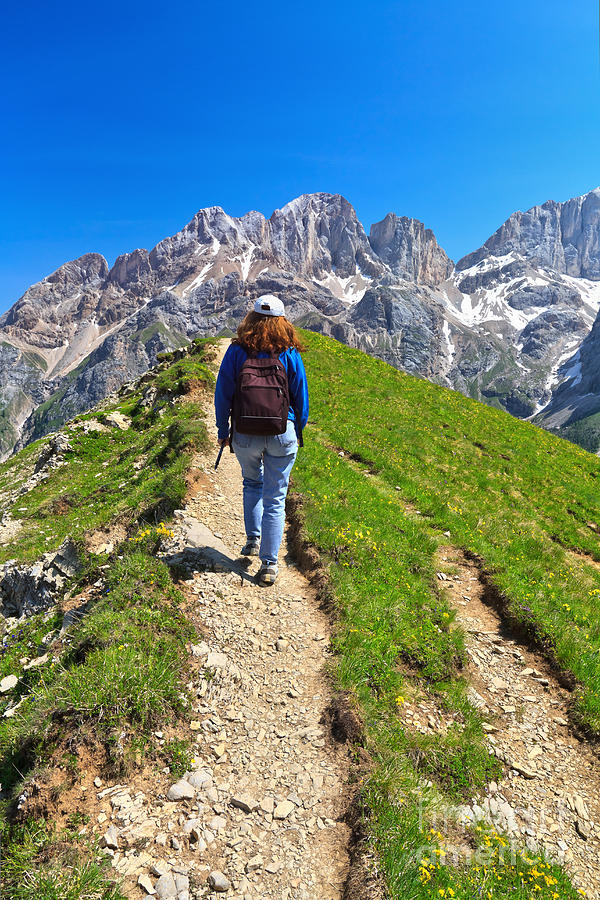 Dolomiti - hiker in Contrin Valley Photograph by Antonio Scarpi
