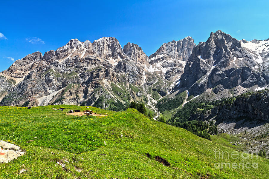 Dolomiti - Vernel and Marmolada mount Photograph by Antonio Scarpi