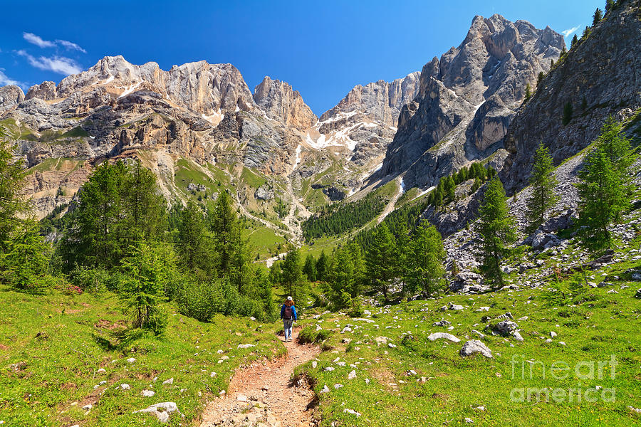 Dolomiti -landscape in Contrin Valley Photograph by Antonio Scarpi
