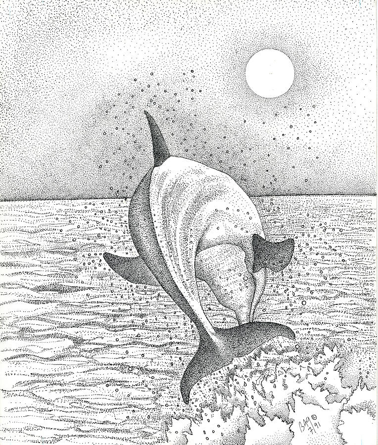 Dolphin 01 Drawing by Brian Gilna