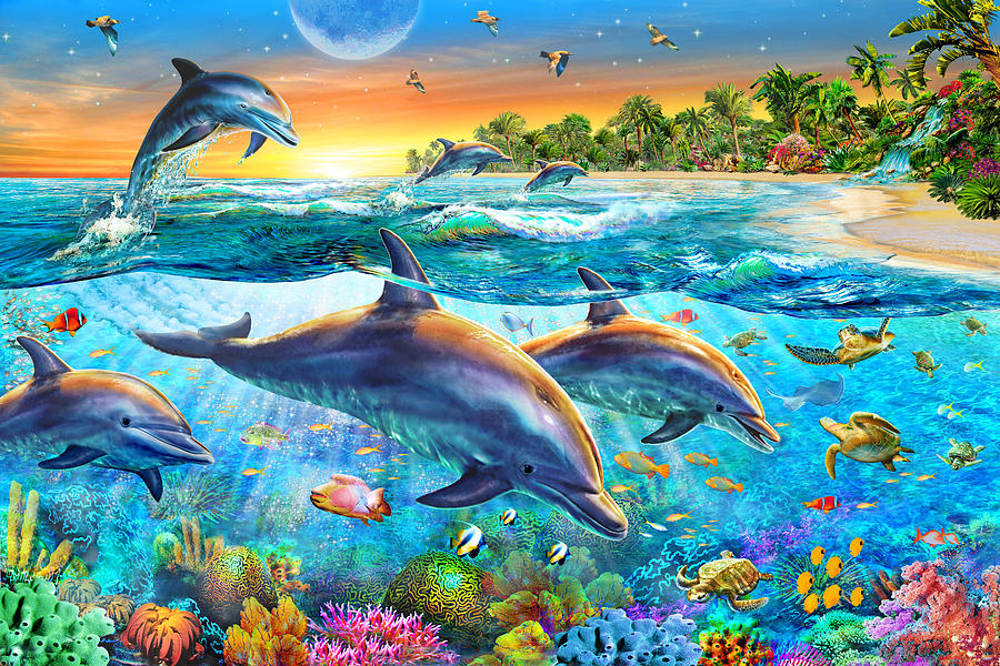 Dolphin Bay Photograph by MGL Meiklejohn Graphics Licensing