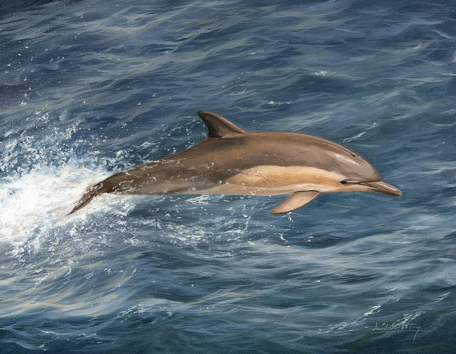 Mammal Painting - Dolphin by David Stribbling