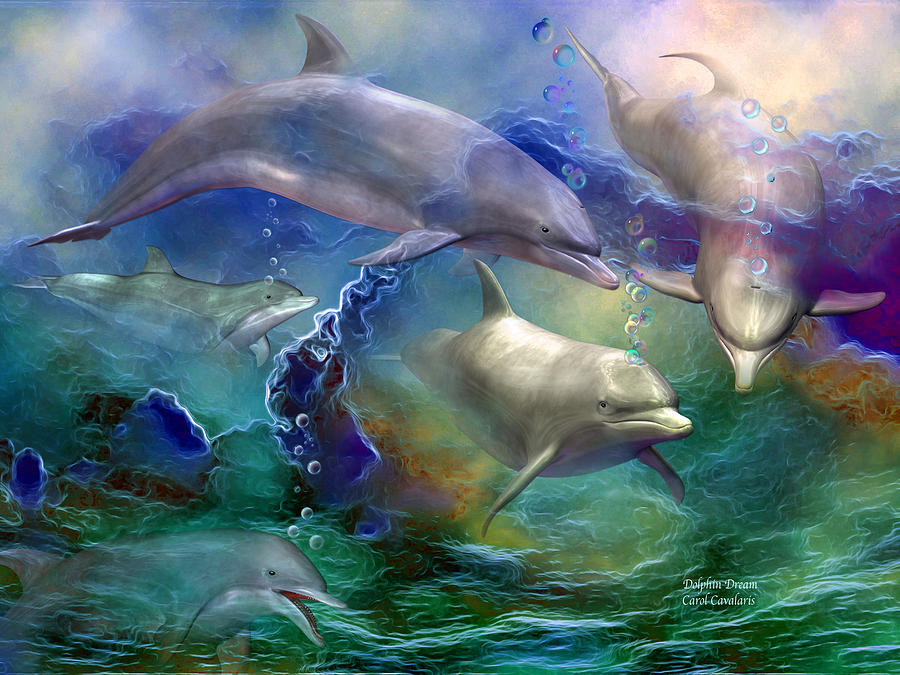 Dolphin Mixed Media - Dolphin Dream by Carol Cavalaris
