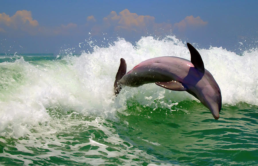 Dolphin Flip Digital Art by Kara  Stewart