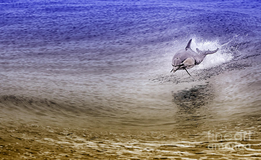 Dolphin Photograph - Dolphin Jumping by David Millenheft