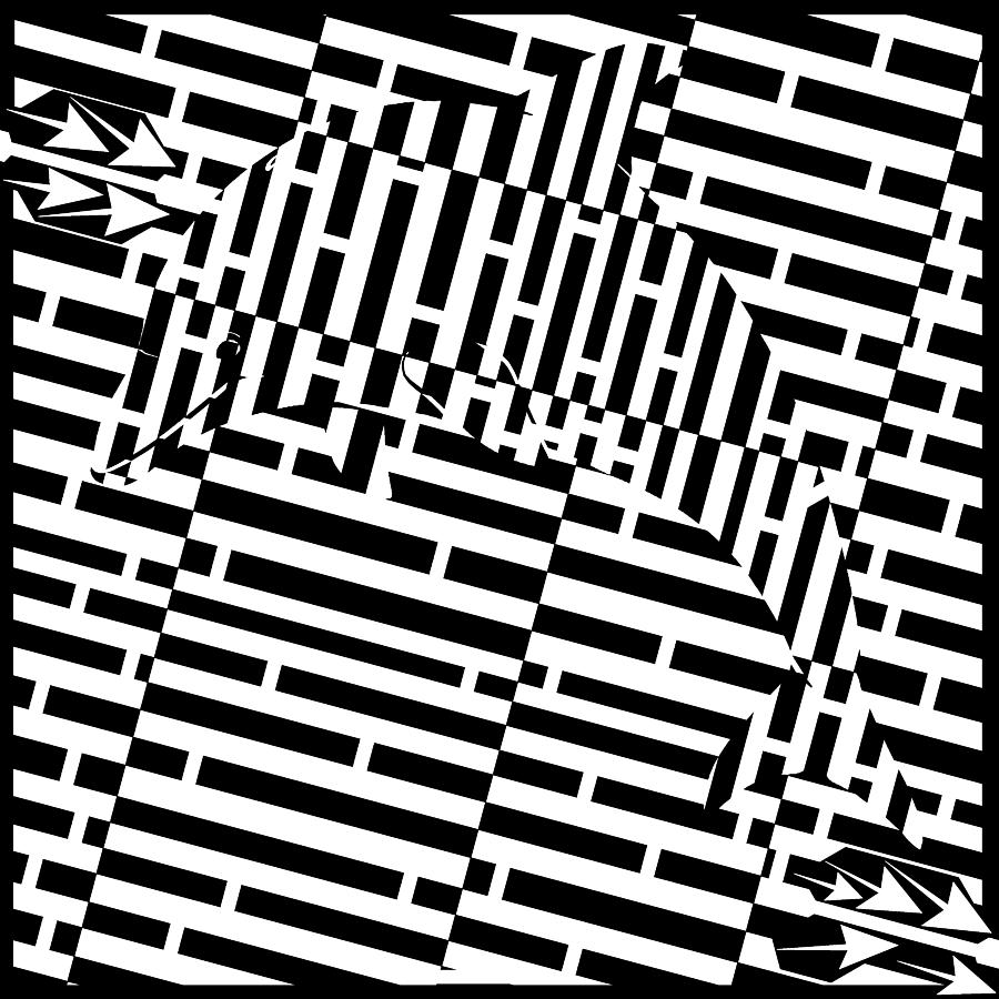 Dolphin Maze Drawing by Yonatan Frimer Maze Artist