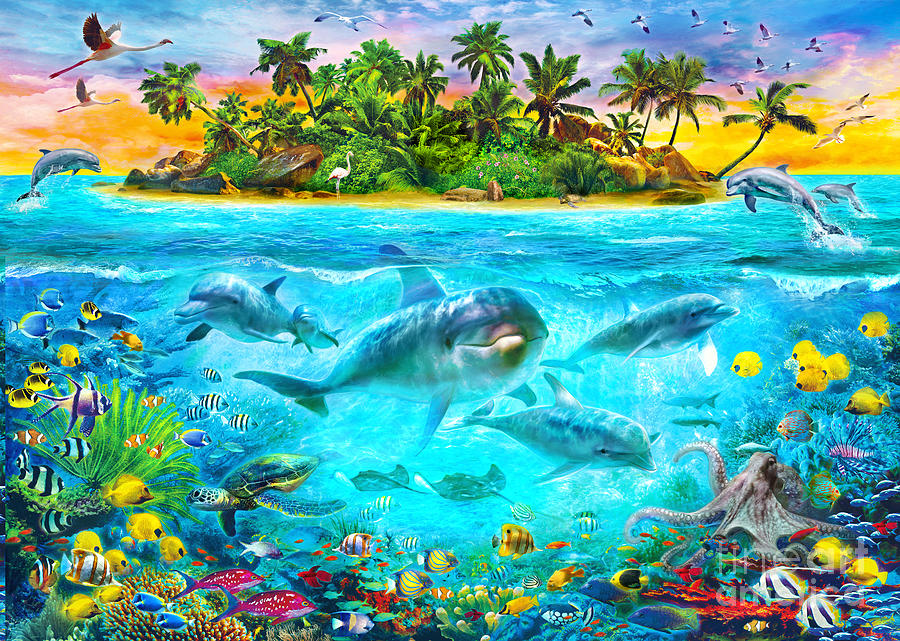 Animal Digital Art - Dolphin Paradise Island by MGL Meiklejohn Graphics Licensing