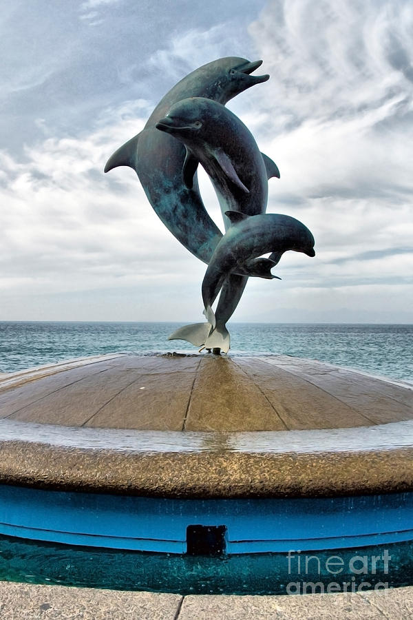 Dolphins at Play Photograph by Mark Baker - Fine Art America