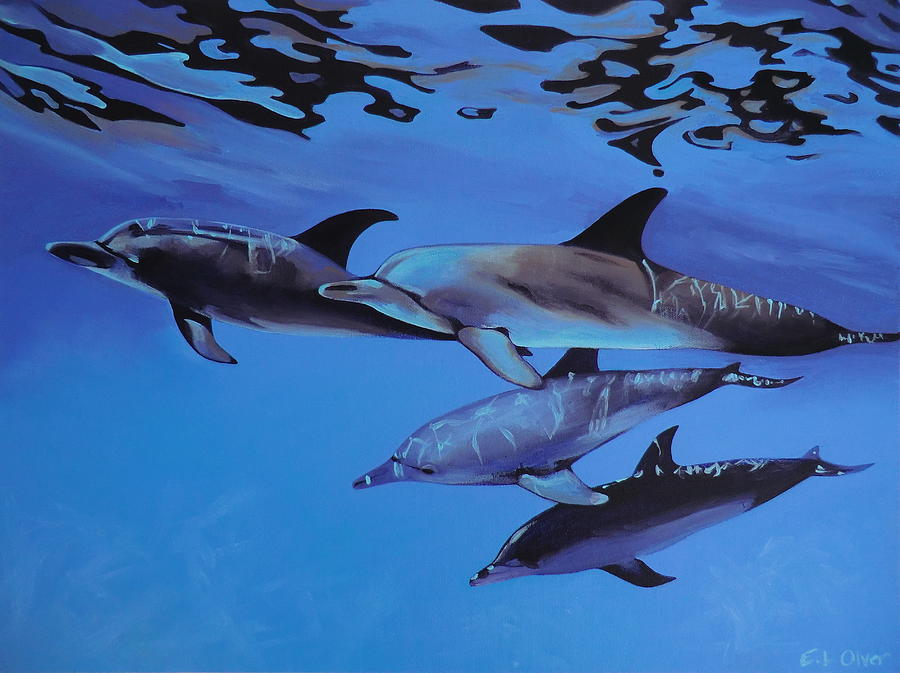 Dolphin Painting - Dolphins by Elisabeth Olver