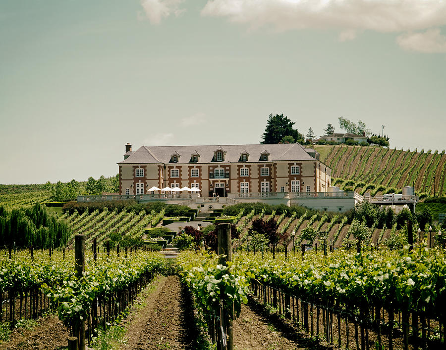 Domaine Carneros Winery - Napa Valley Photograph by Mountain Dreams