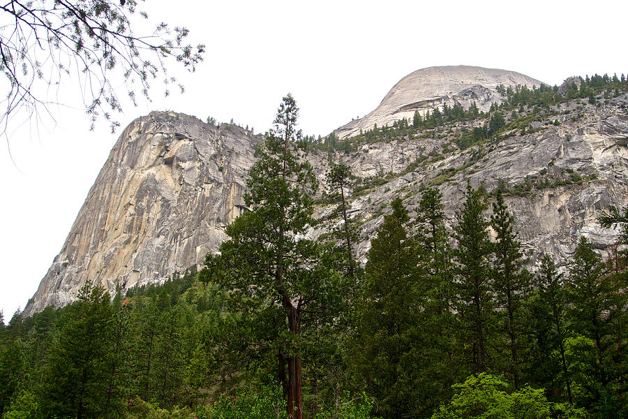 Domes from the Trail to Mirror Lake in Yosemite Valley, California Photograph by Ruth Hager