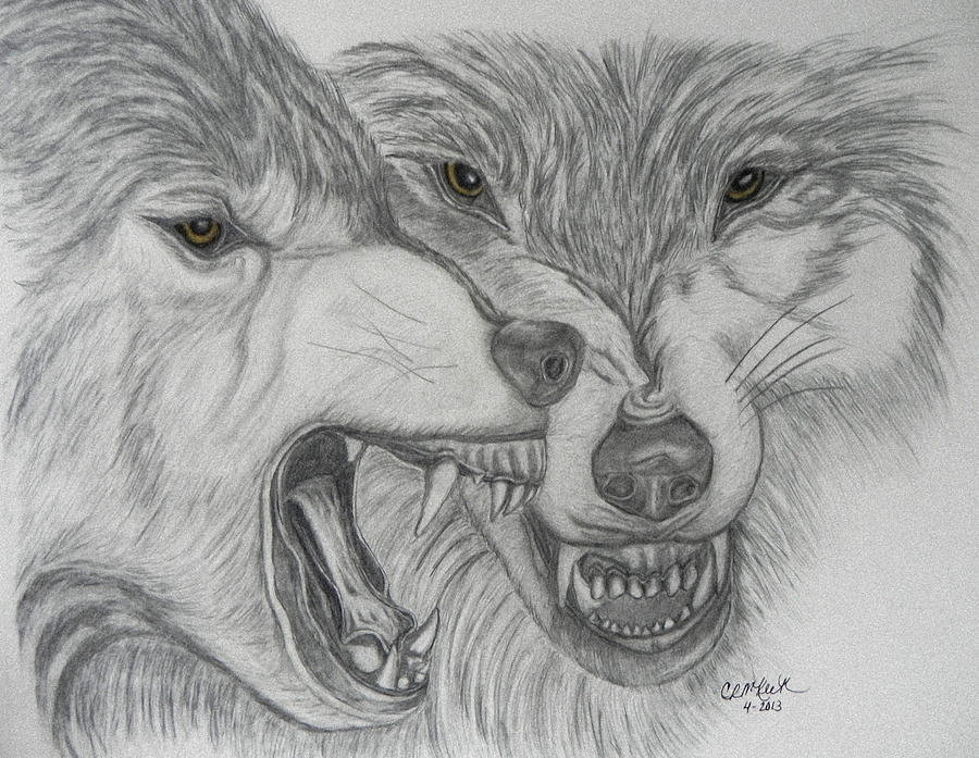 Wolves Drawing - Dominance by Cheryl McKeeth